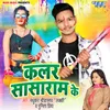 About Color Sasaram Ke Song